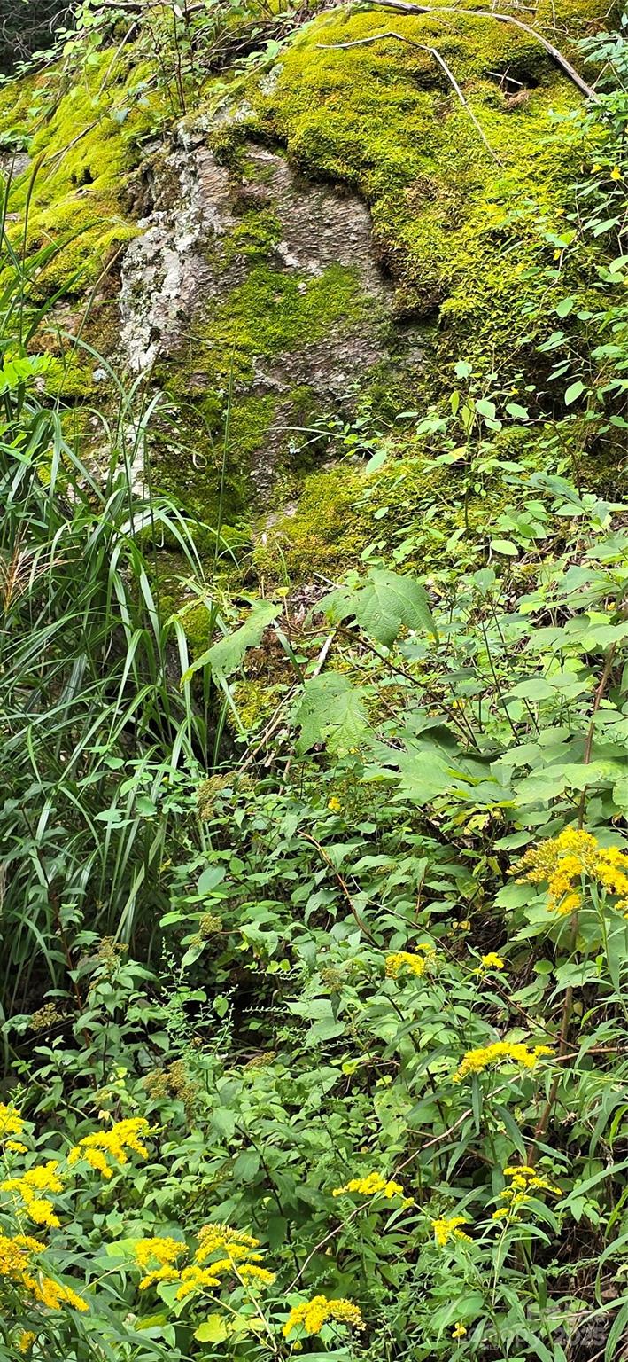 Greenridge Falls - Residential