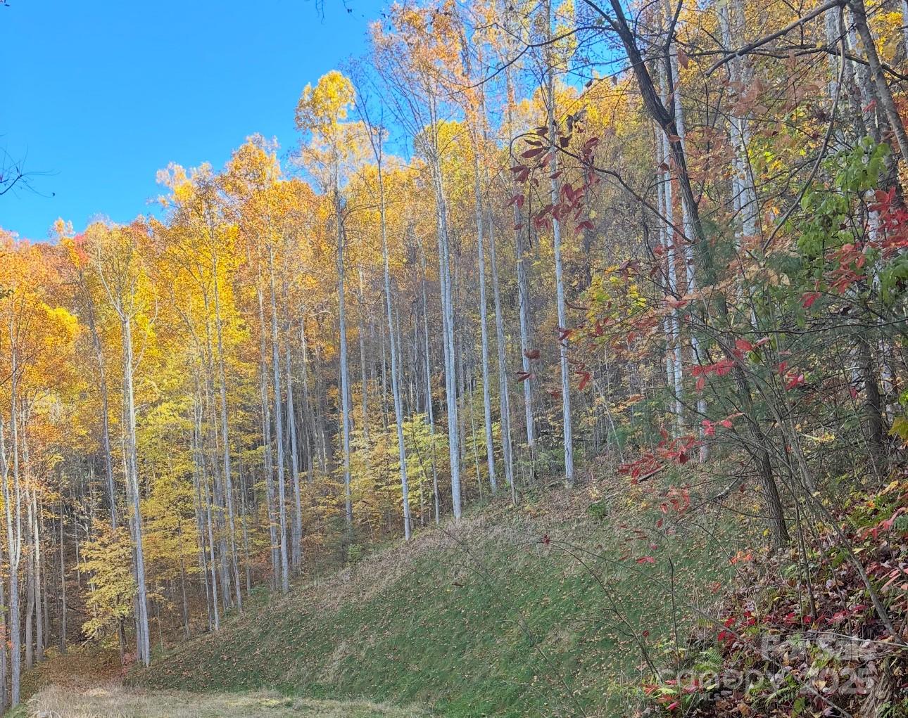 269 Flowering Ridge Road