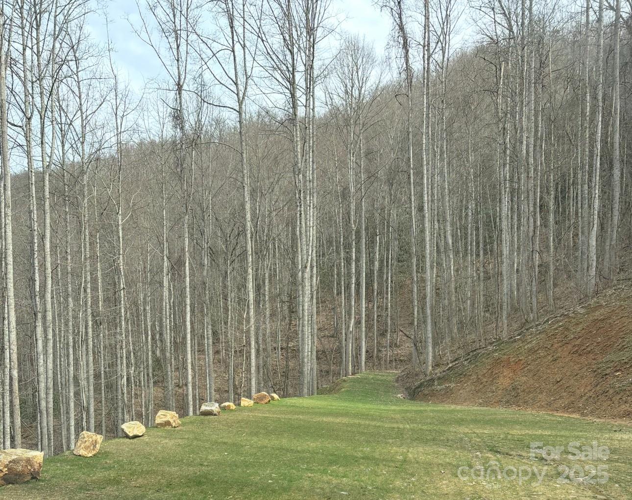 Black Bear Falls - Land