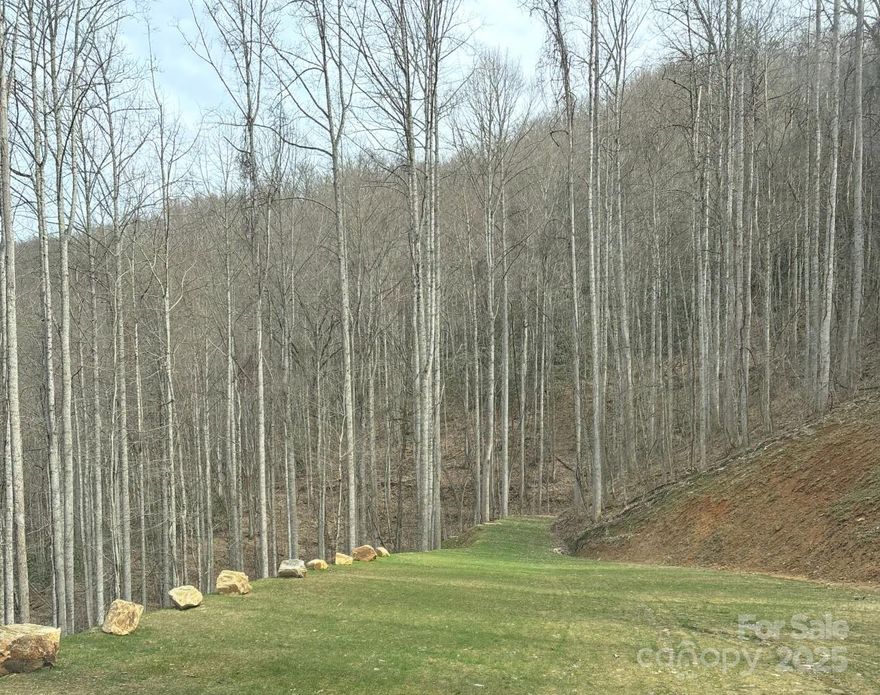 Build your mountain dream home on this already graded lot, with a 3 bedroom septic permit on file! Black Bear Falls is a private, gated community. This picturesque neighborhood is renowned for its stunning long-range mountain views and serene natural surroundings. Enjoy the tranquility of the area, complemented by the presence of two natural waterfalls within the community.  The subdivision offers easy access to a variety of outdoor recreational activities. Nearby attractions include tubing and fishing on the Tuckasegee River and Cataloochee Ski Area for winter. Additionally, Black Bear Falls is conveniently located approximately 15 minutes from Harrah’s Cherokee Casino, the Sequoyah National Golf Club, and 55 minutes from Asheville.