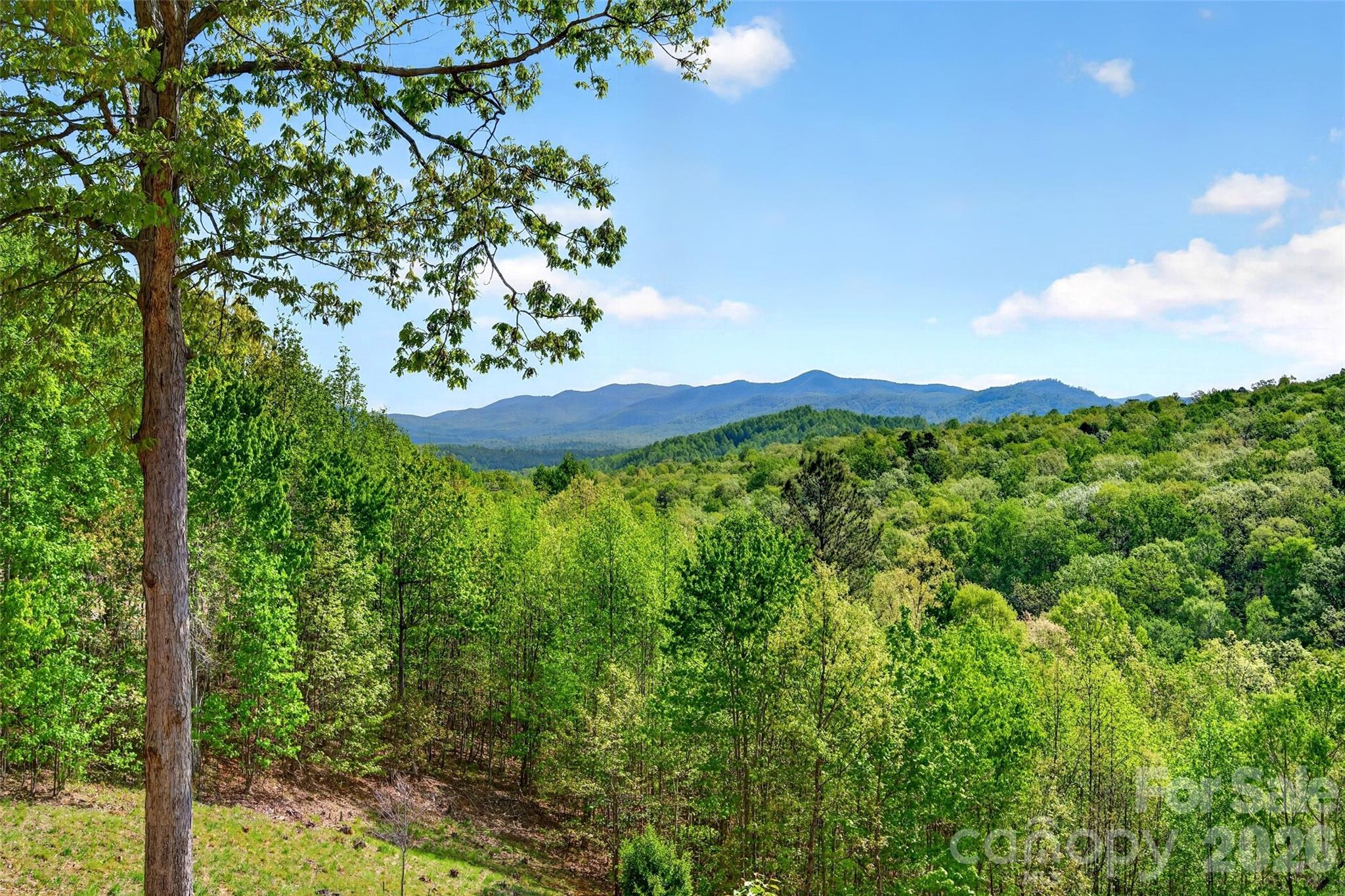 Grandview Peaks - Residential