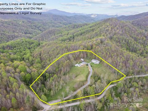 6780 Max Patch Road Clyde NC 28721