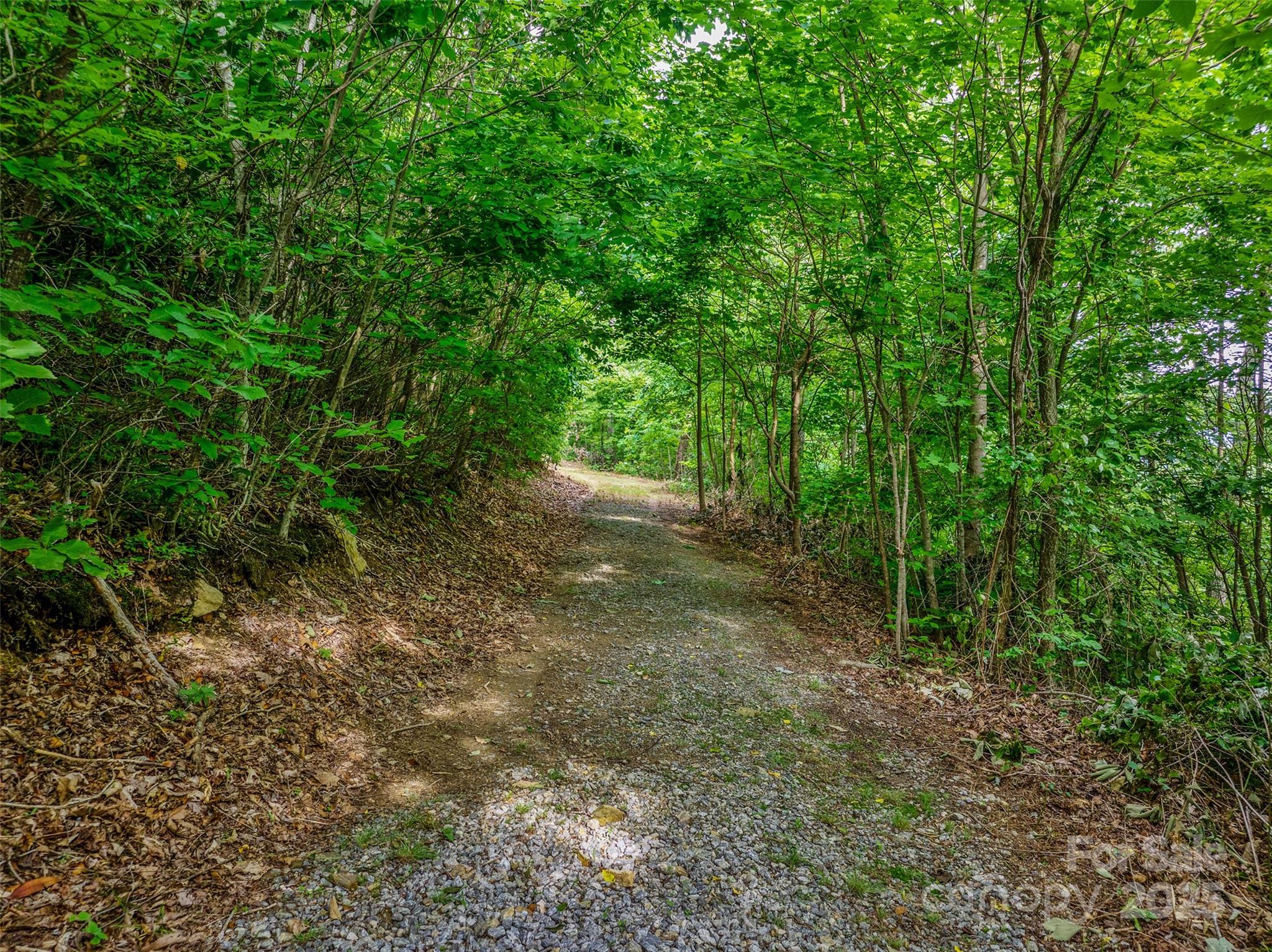 00 Locust Grove Road 2