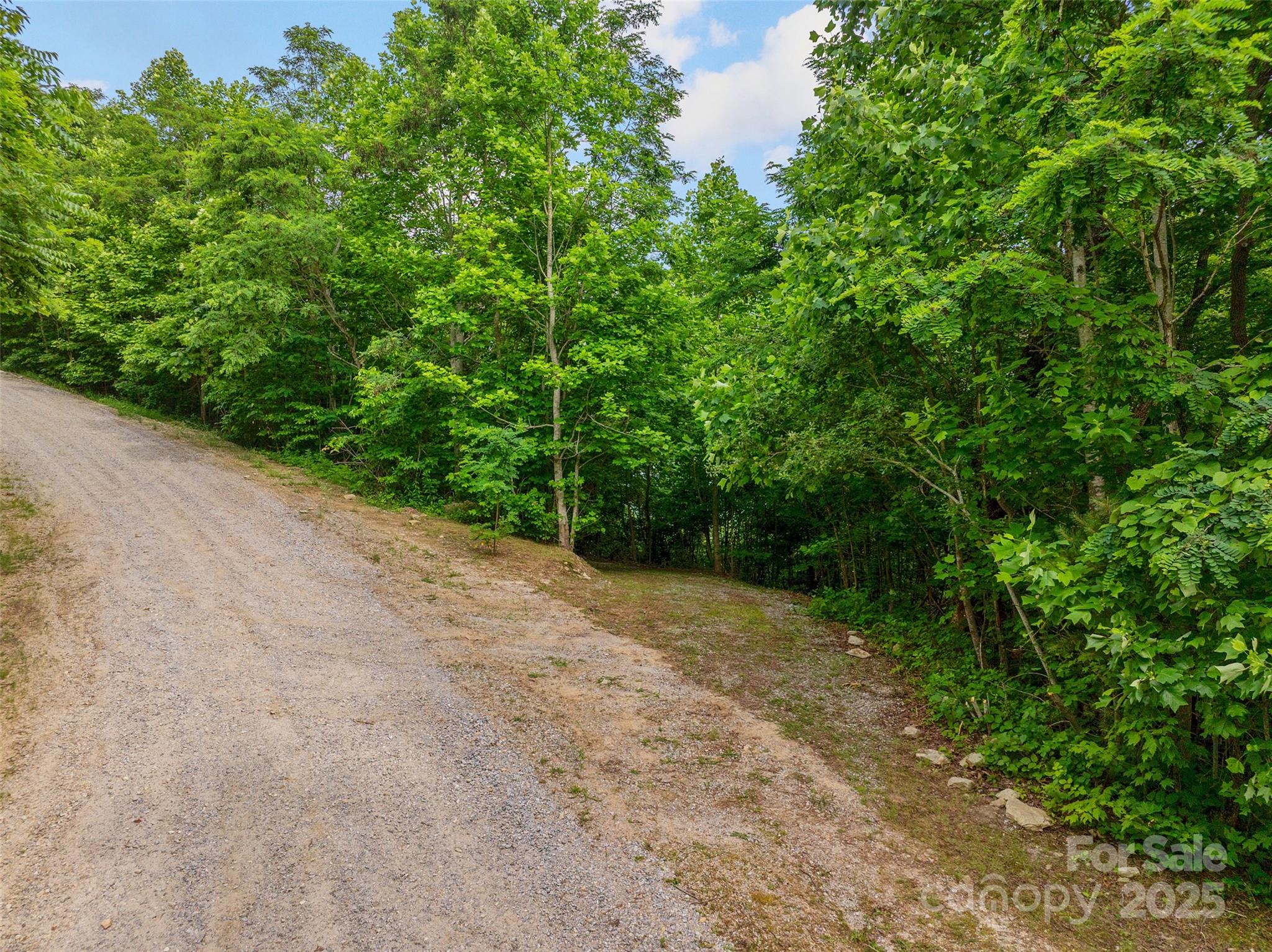 00 Locust Grove Road 2
