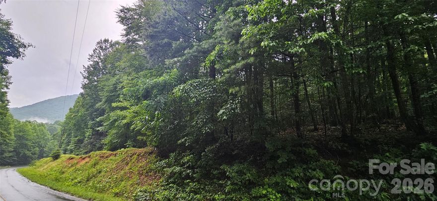 If having a home close to Dupont State Park is on your wish list you have found the perfect property! This 2.77 acre lot is less than 100 yards from the park which is known for its mountain biking and horse riding trails along with many beautiful waterfalls. There is a paved road leading to the property. It is a wooded lot with plenty of privacy. Why purchase someone else's home further away when you could build your dream home here?