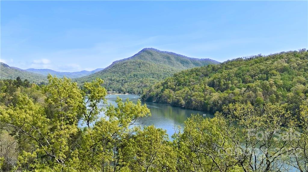 Blue Heron Point - Land