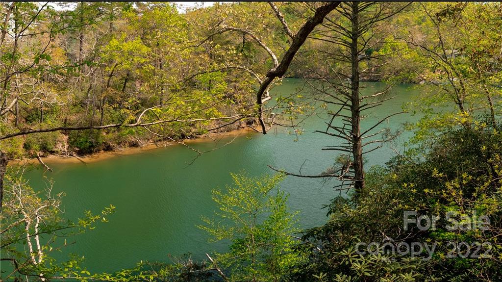 Blue Heron Point - Land