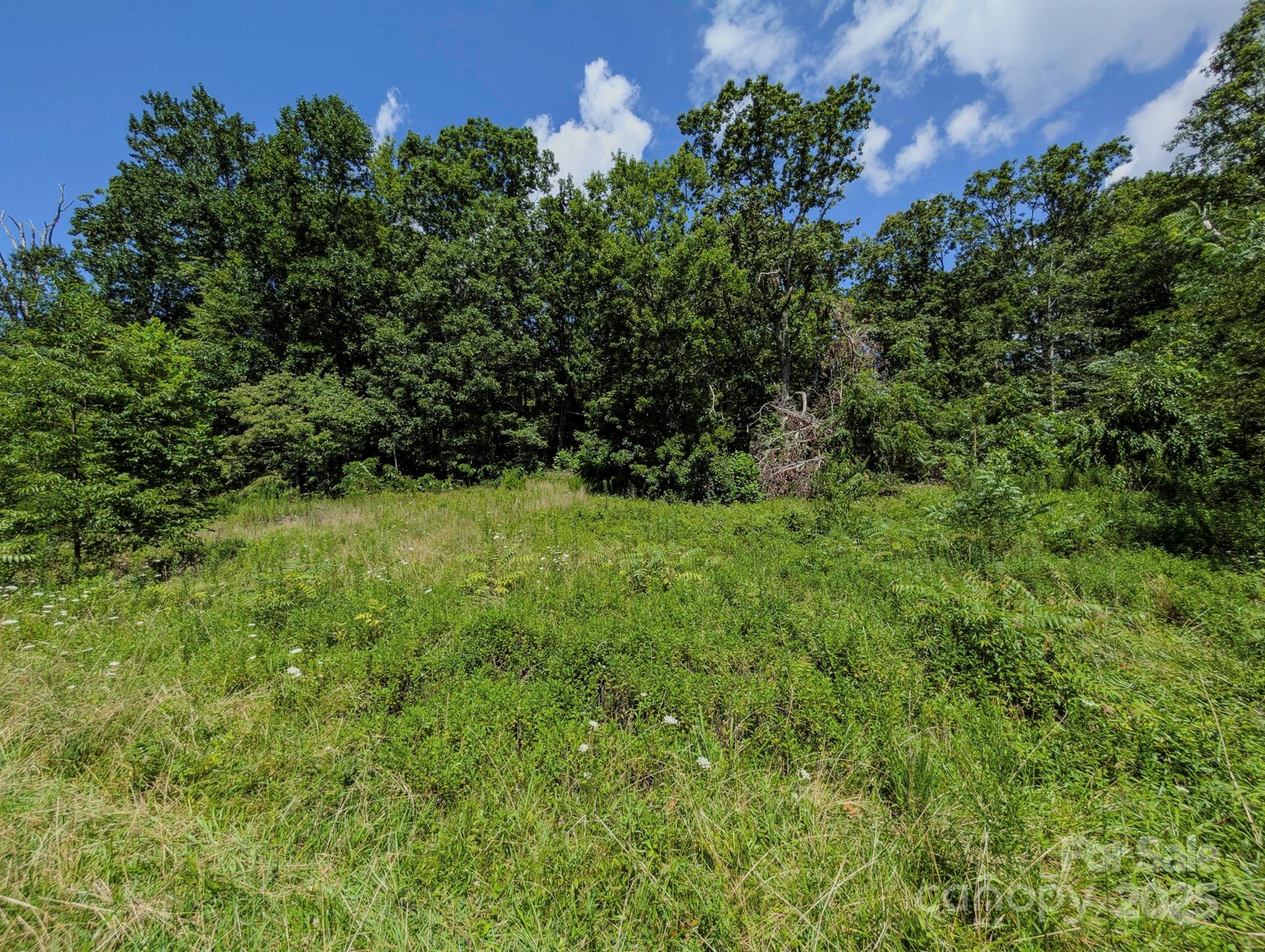 TBD Mystic View Lane