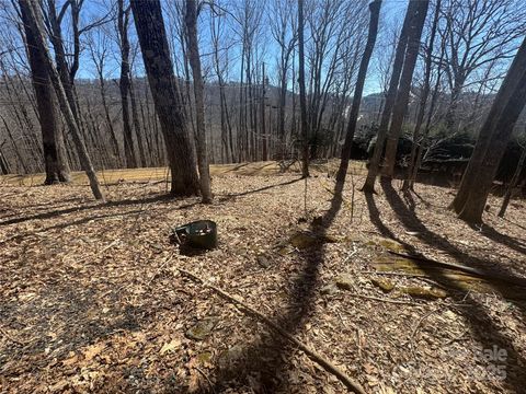 395 Sugar Tree Lane Mars Hill NC 28754