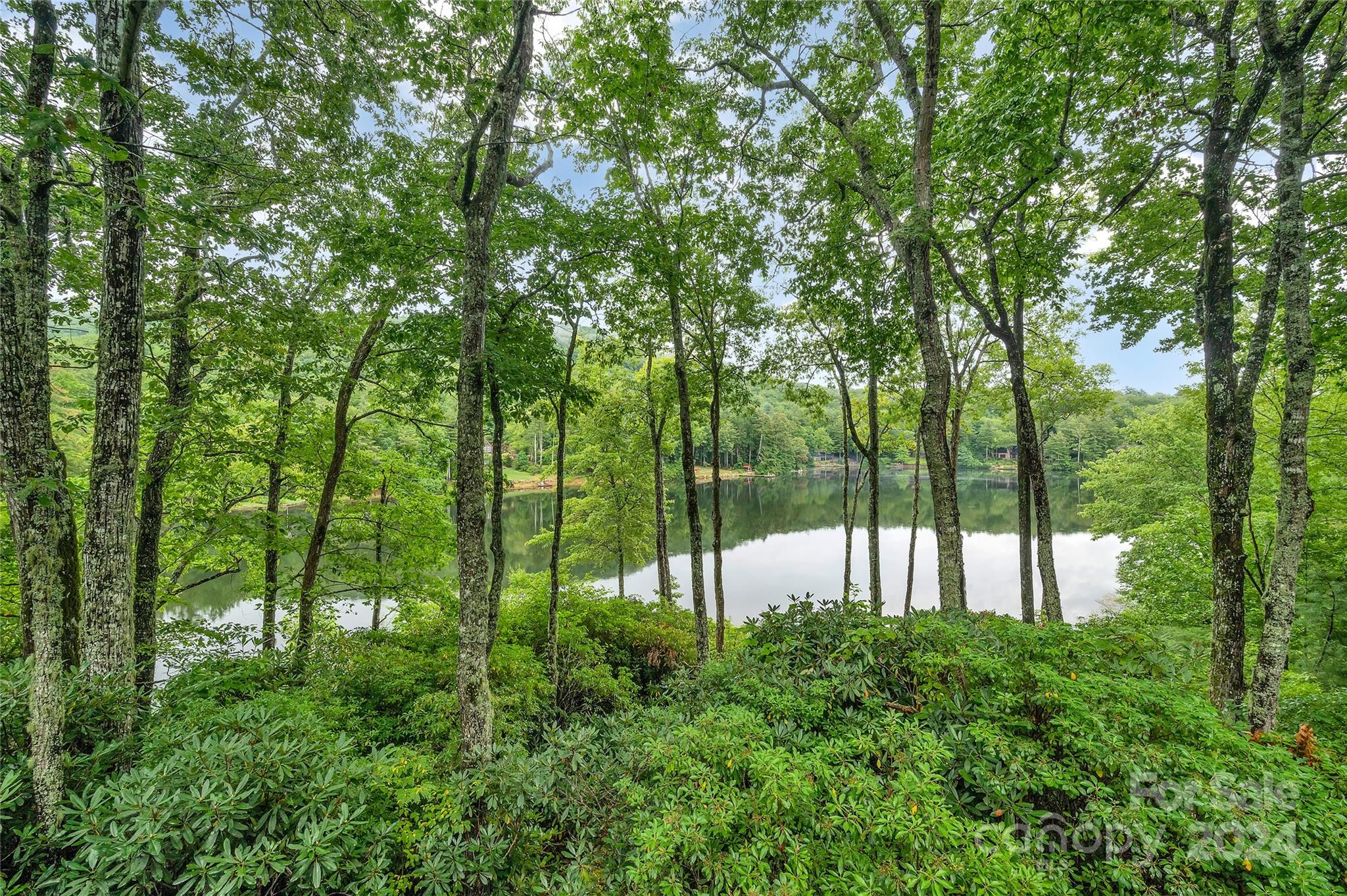 Lake Toxaway Estates - Residential