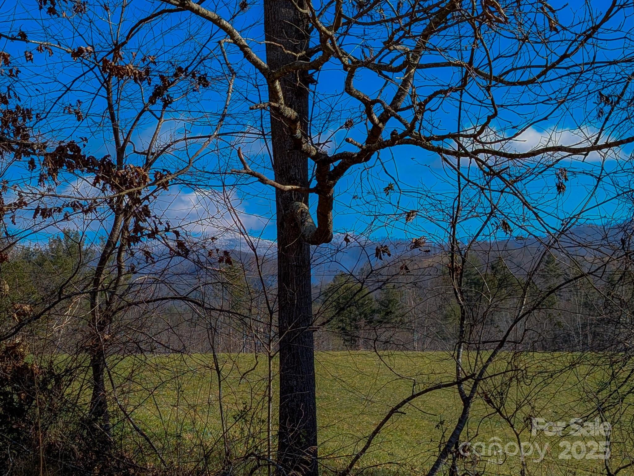 00000 Bluff Cove Road