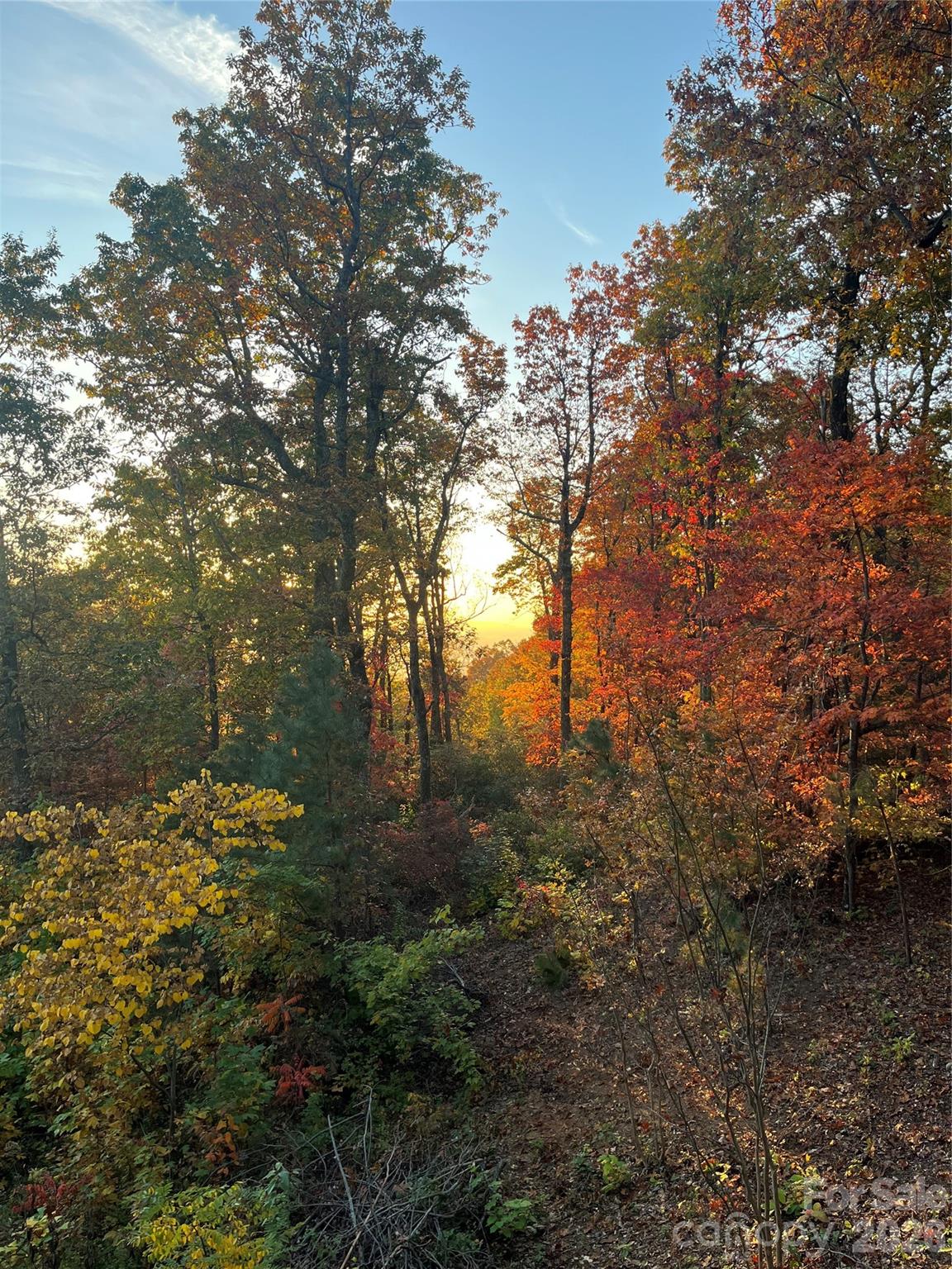 Pinnacle Mountain - Residential