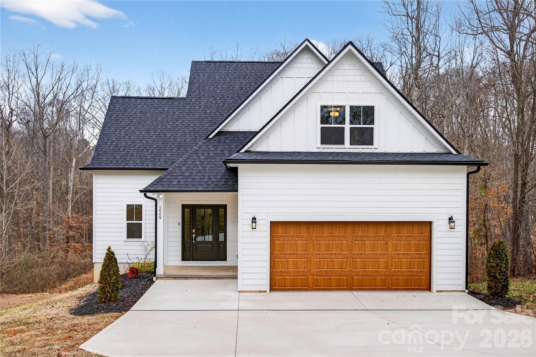 229 Shenandoah Loop