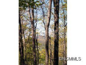 Holly Forest - Land