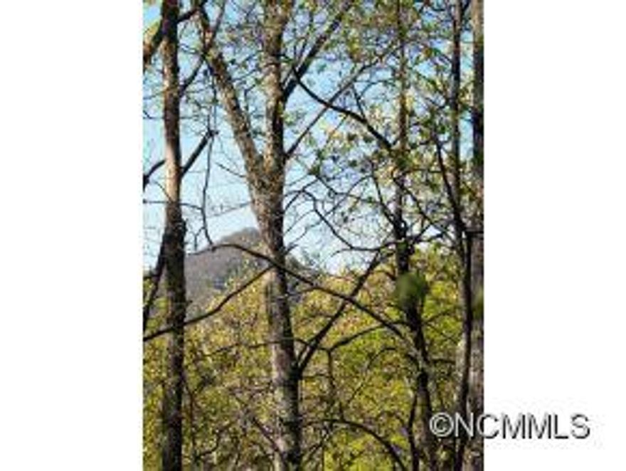 This 1.22 acre parcel in Holly Forest XI will offer wonderful mountain views, including Chimney Top, from the building site. Difficult to see w/leaves on the trees, the view will be excellent once drive, septic &housesite are cleared. Selective trimming & cutting after improvements will create a wider view. Homesite is situated privately up above the street & drive access from the street is level w/ gentle slope to homesite. ALL FSV amenities.