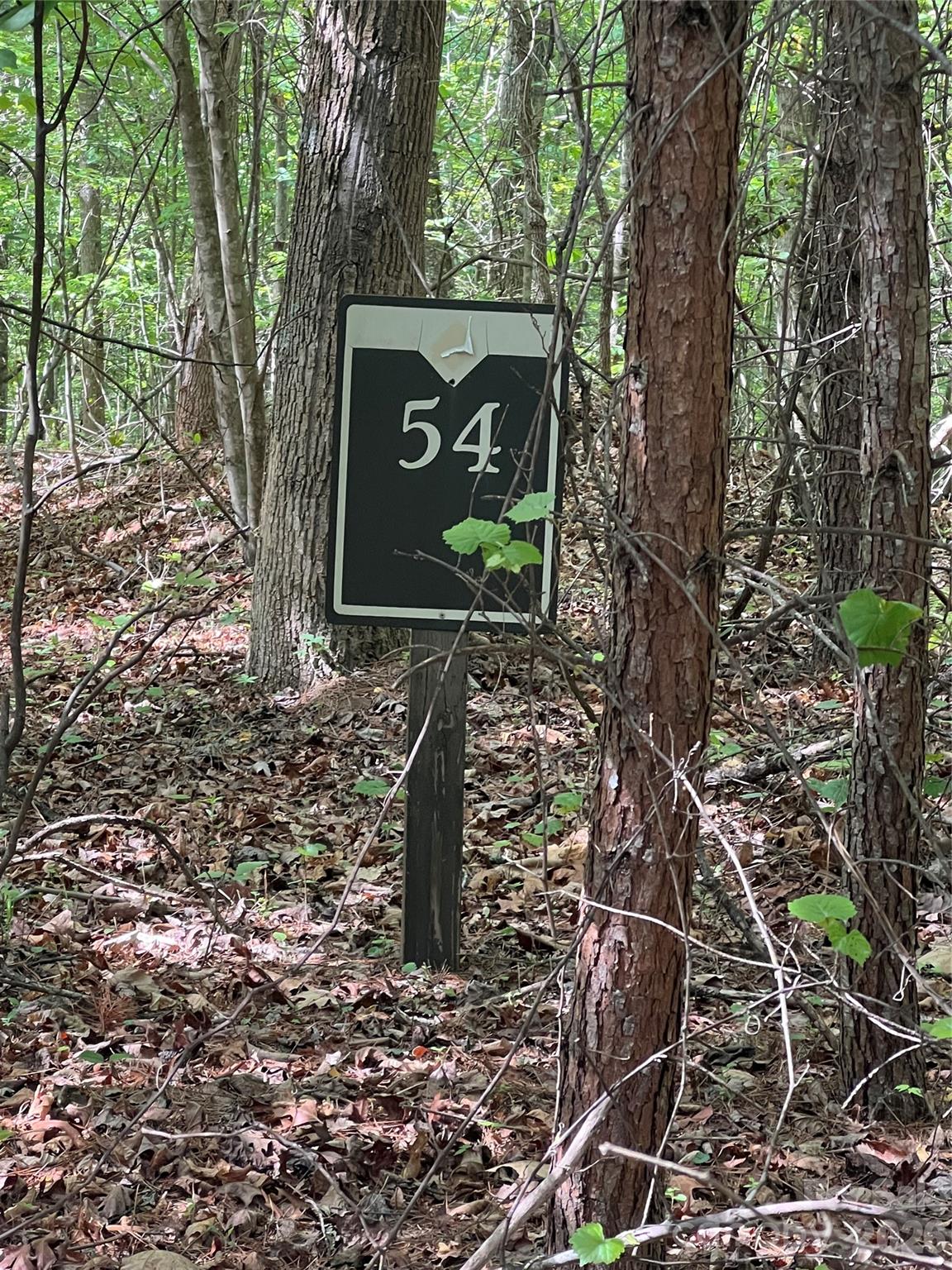 Blackberry Creek - Land