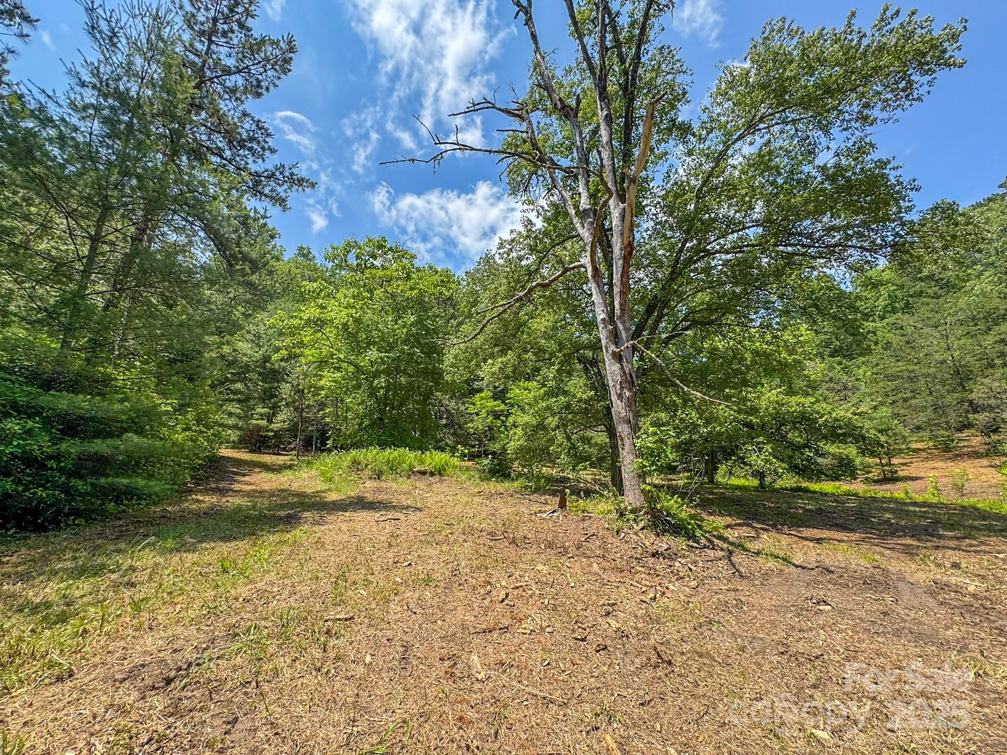 999 Davey Branch Road