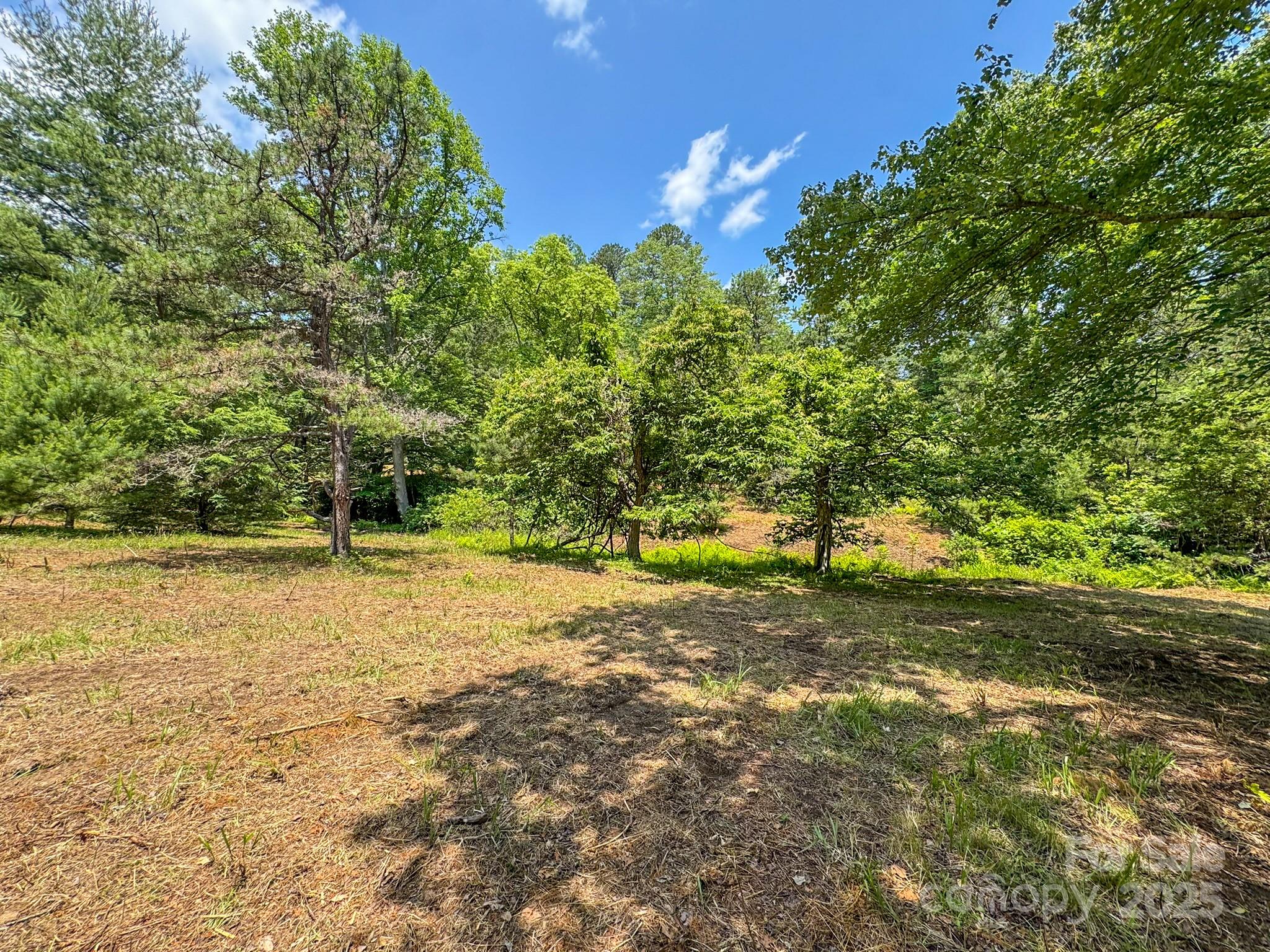 999 Davey Branch Road