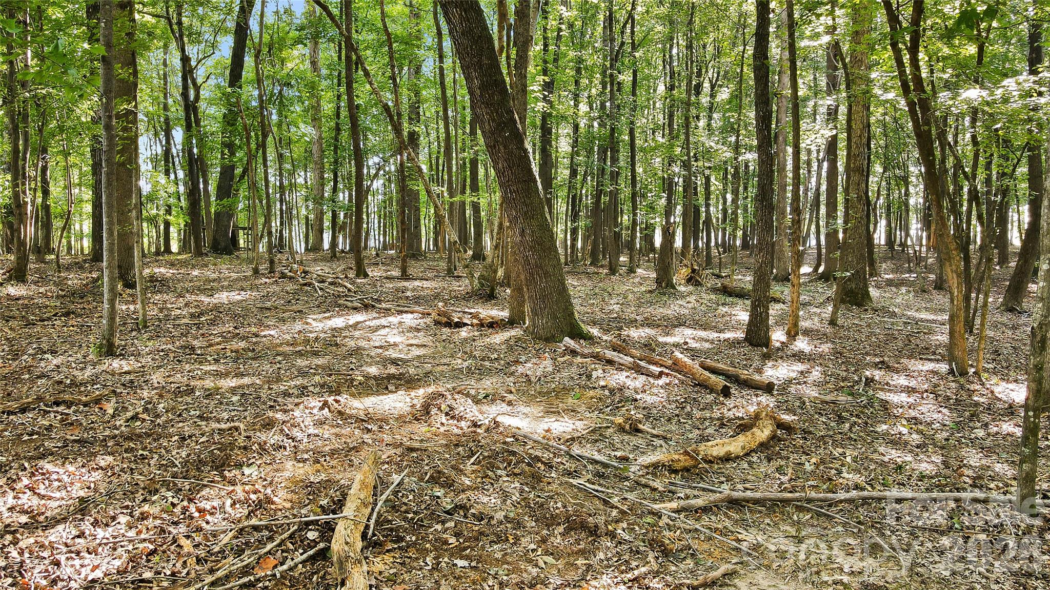 Lot 3 Indian Trail Fairview Road