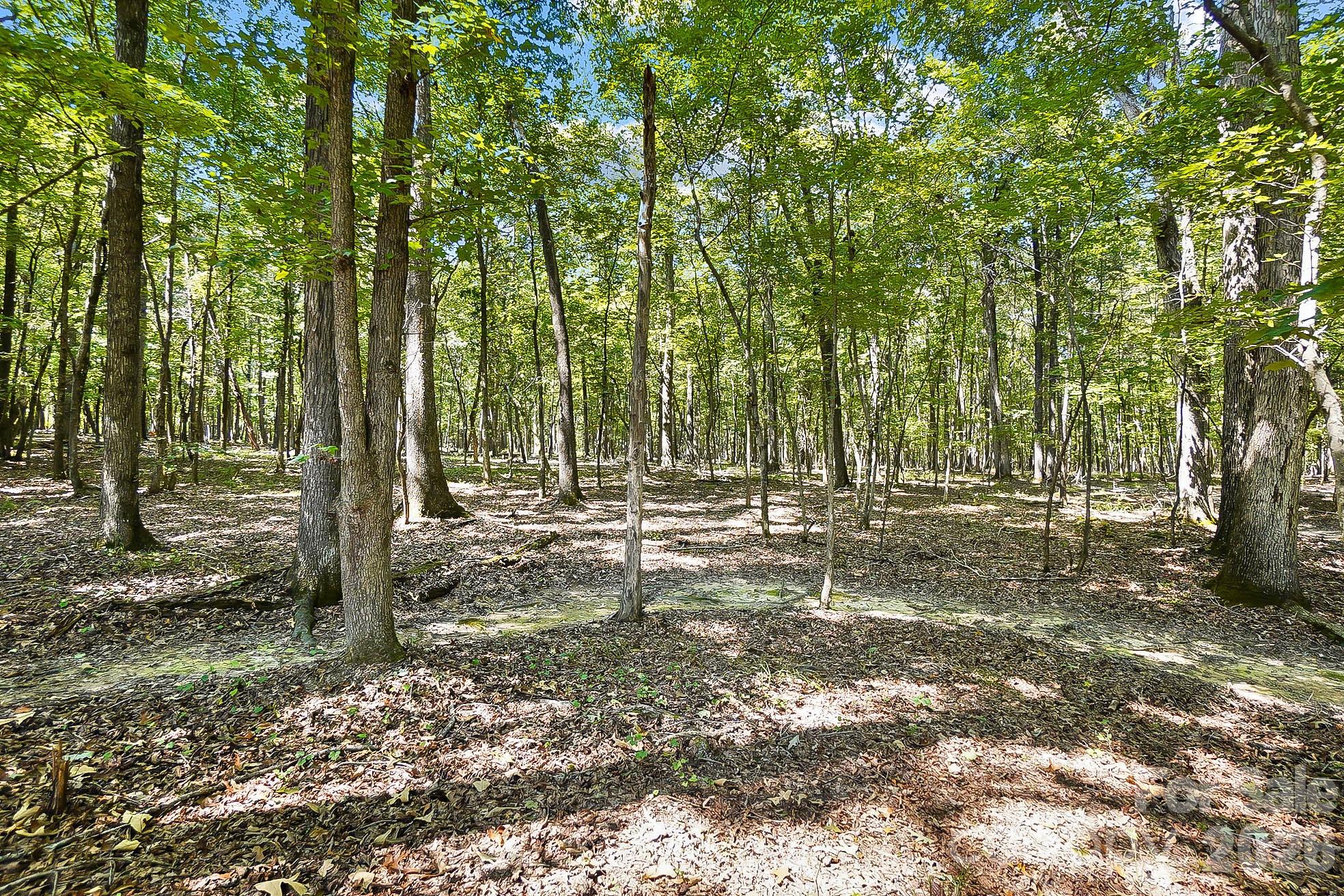 Lot 3 Indian Trail Fairview Road