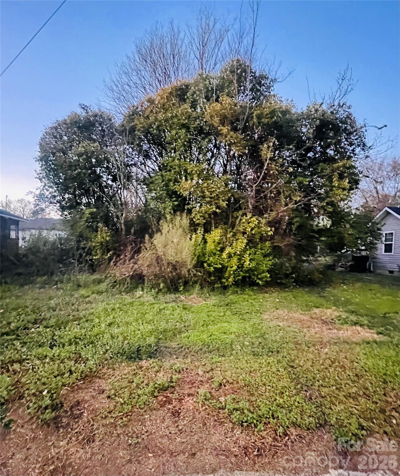 Woodland Park - Land