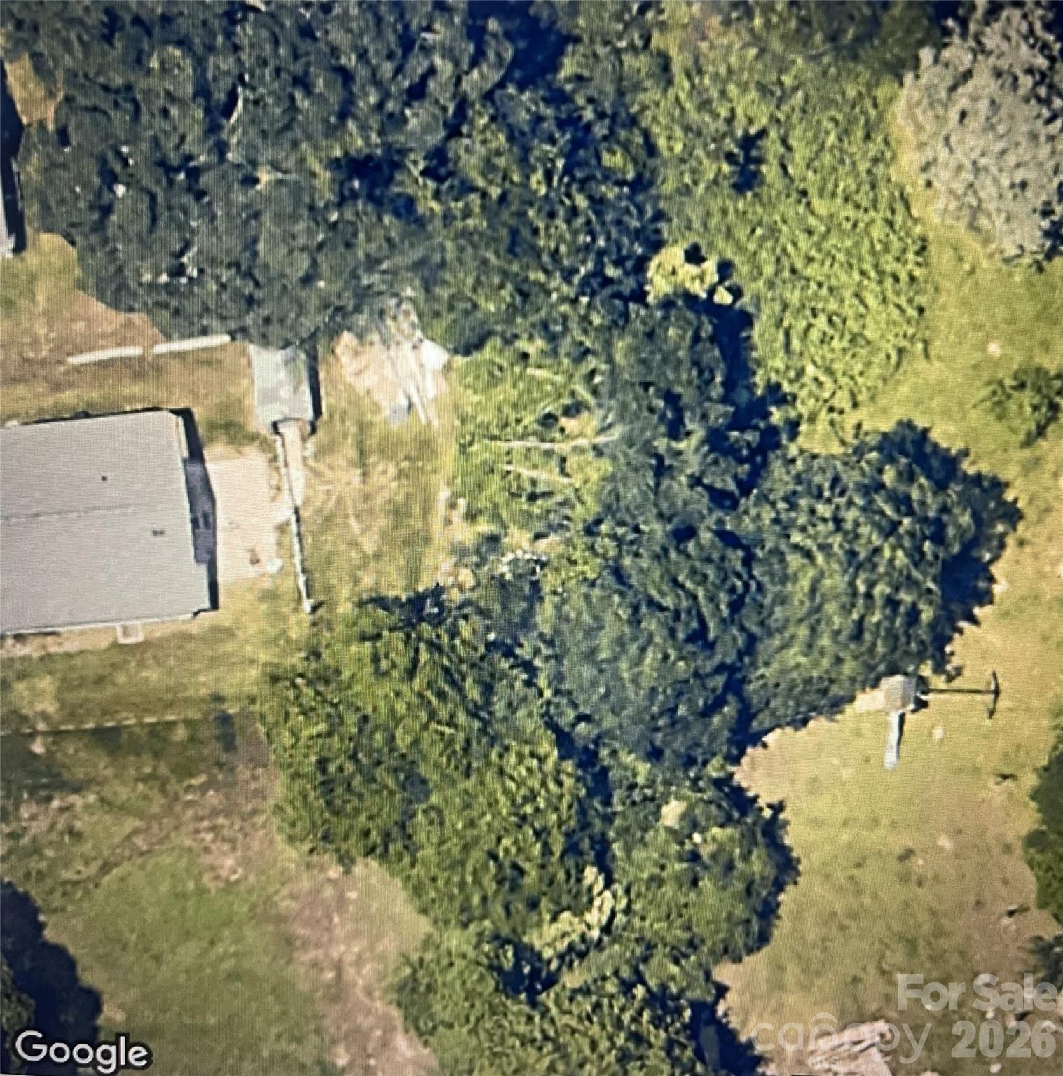 Woodland Park - Land