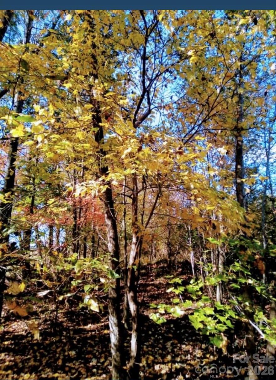 !0 acres ready for private residence or family compound.  Escape from the city to the country without the distance. This property is ready to build your dream home.  Surrounded by woods and has access to county water. No HOA No CCR's.  Farm or private residence, the property has lush trees and road frontage.  Located off Potter Road S.