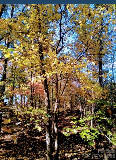 Photo of 0000 Potter Road, Waxhaw, NC 28173 (MLS # 4340764)