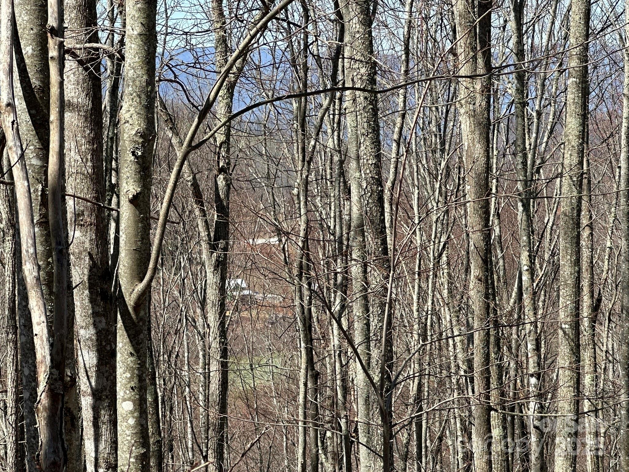 Balsam Mountain Preserve - Land