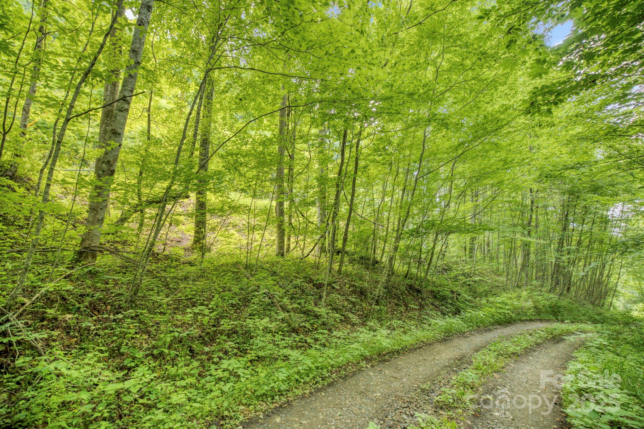 3440 Hamburg Road
