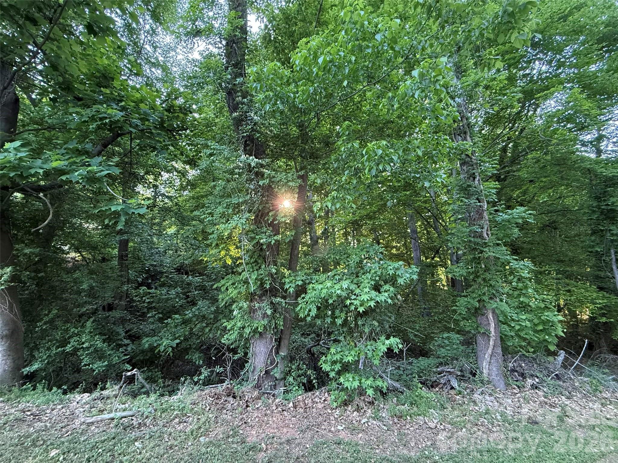 300 Maymont Drive