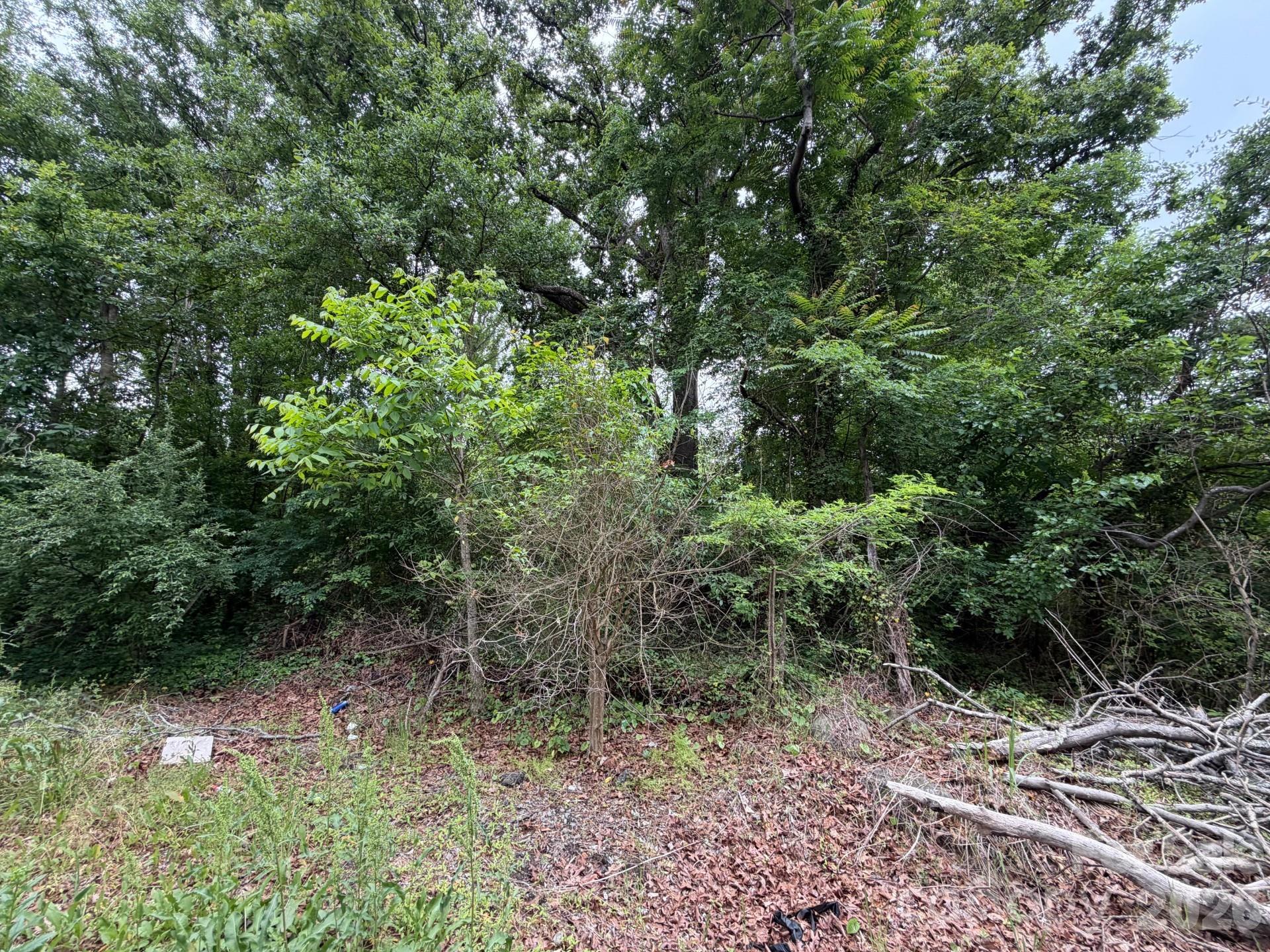 454 Frank Street, Rock Hill, SC, 29730