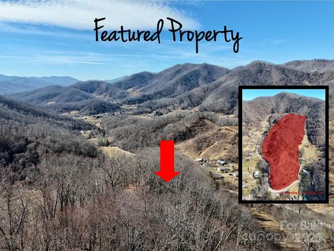00 Wilson Cove Road Canton NC 28716