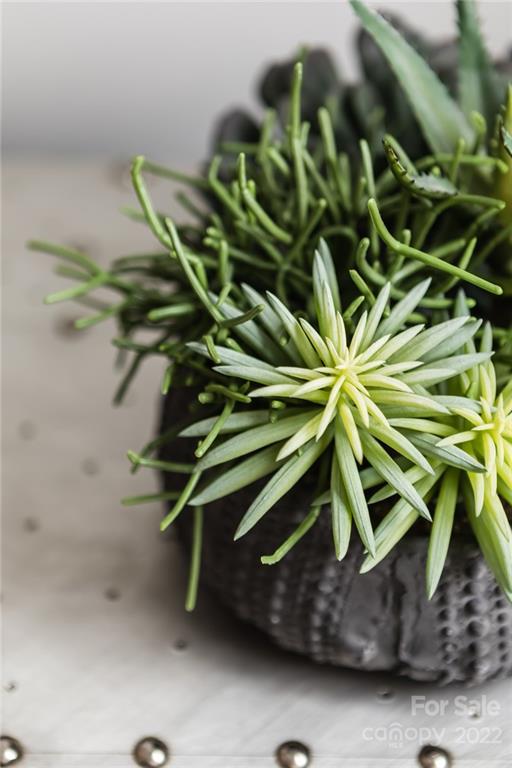 Ashburn - Residential