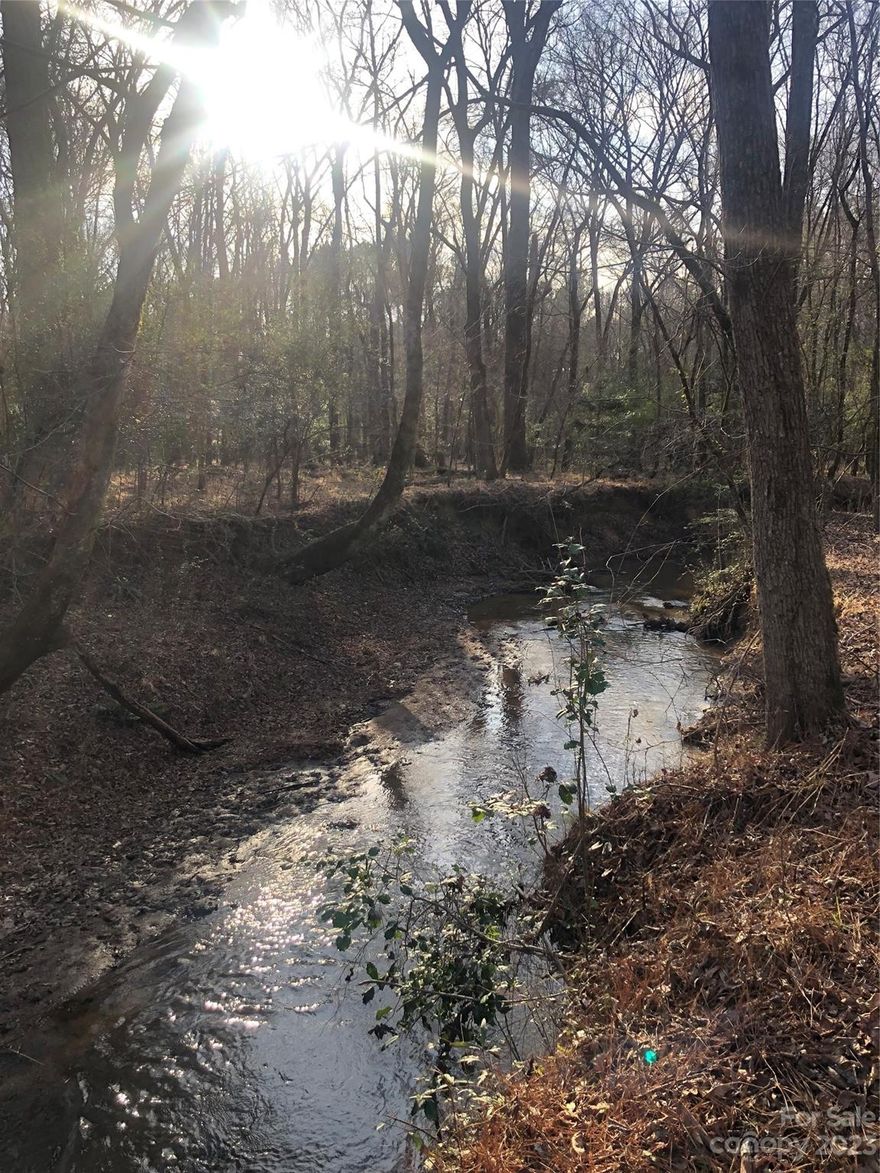 52.573 acre tract located about 15 minutes out of Camden. Could the perfect opportunity  for building that private dream home in the country. Plenty of acreage makes it a great investment as well. Property contains a creek that runs through back side of property LAND here...and enjoy getting back to nature!  27+ year old pines and 13+ acres of forest. 52+ Acres of abundant wildlife, hunt land and trails bordering Little Flat Rock Creek.