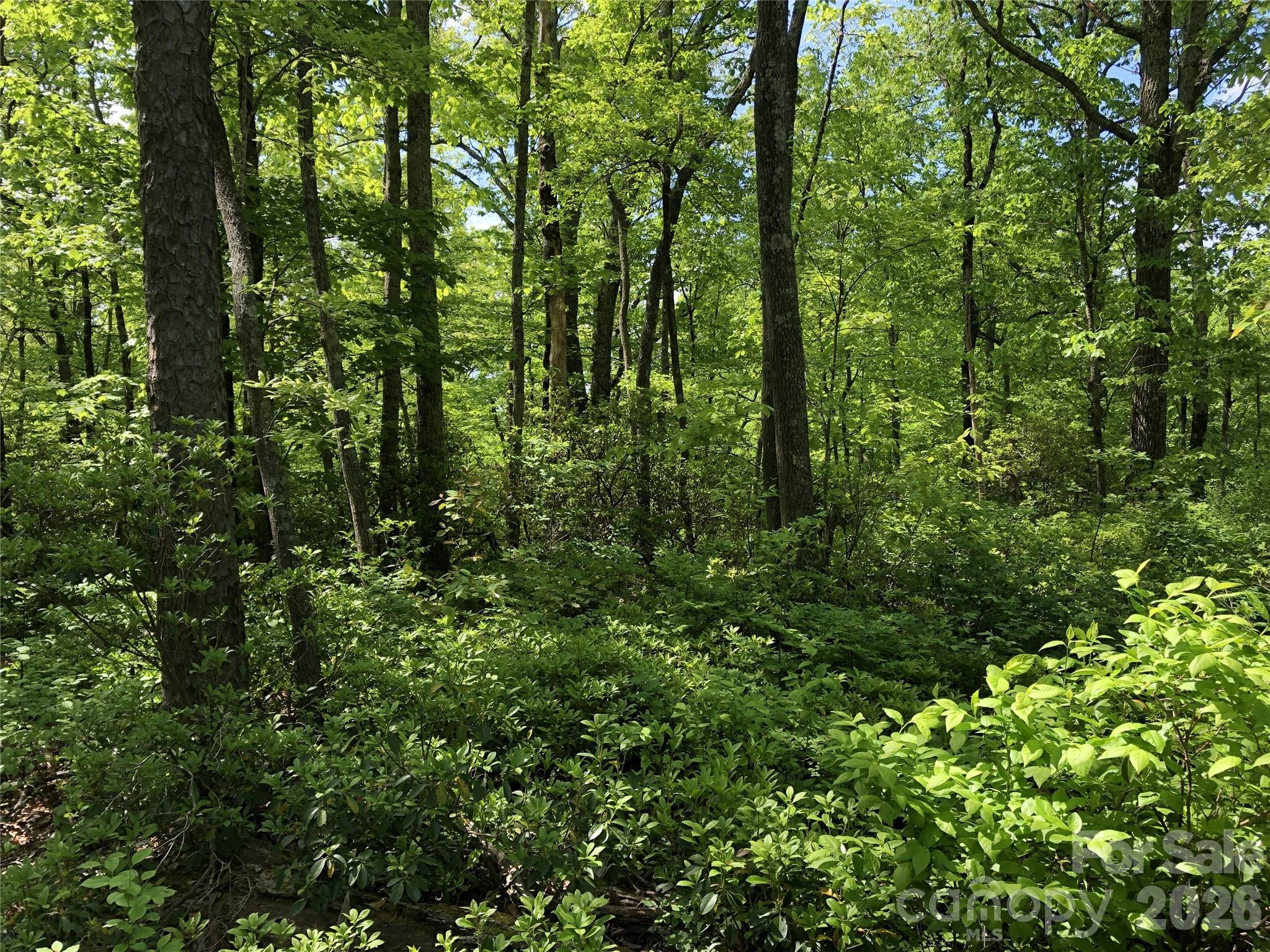 0 Millard Crossing 15