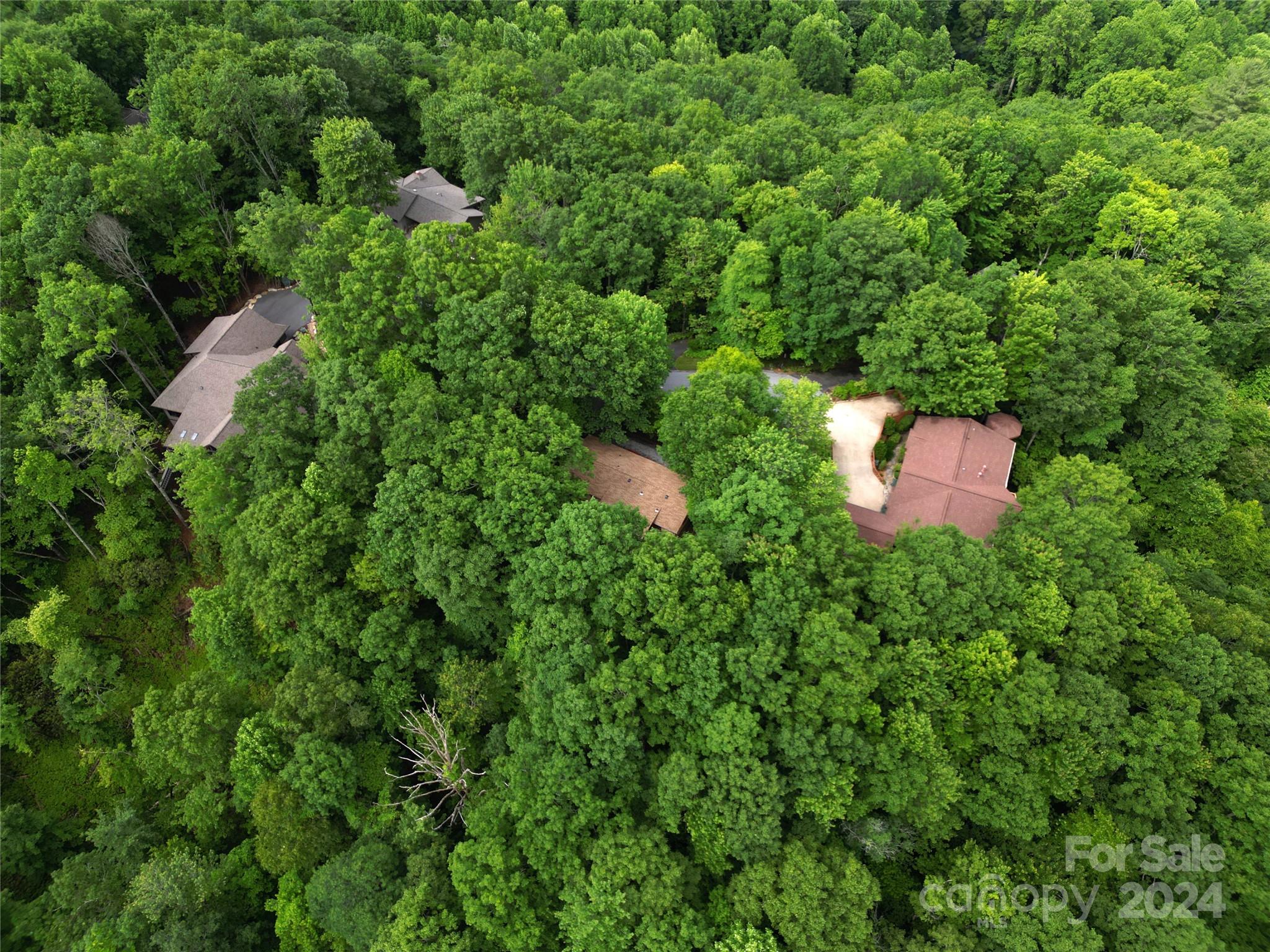 Connestee Falls - Residential