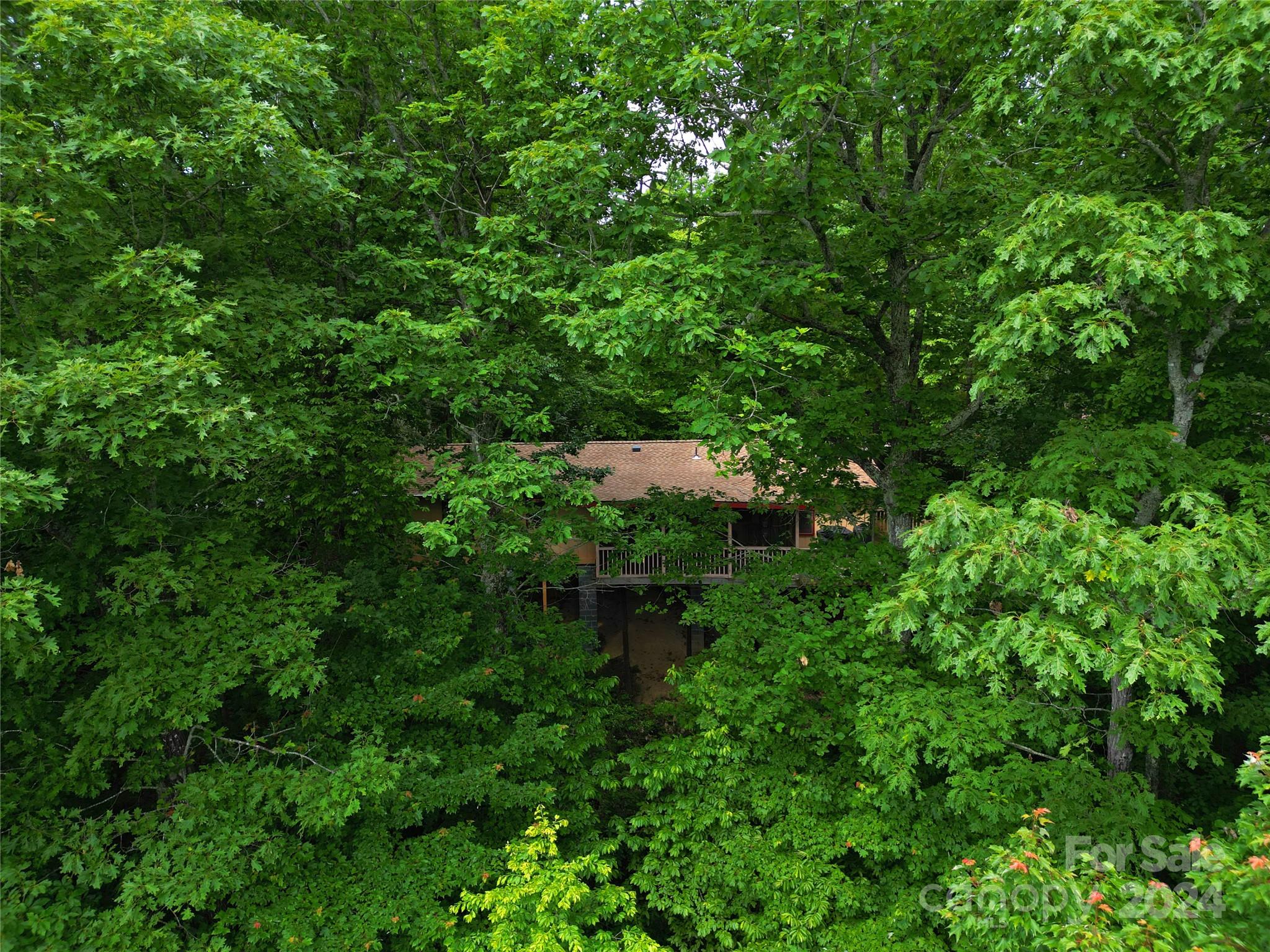 Connestee Falls - Residential