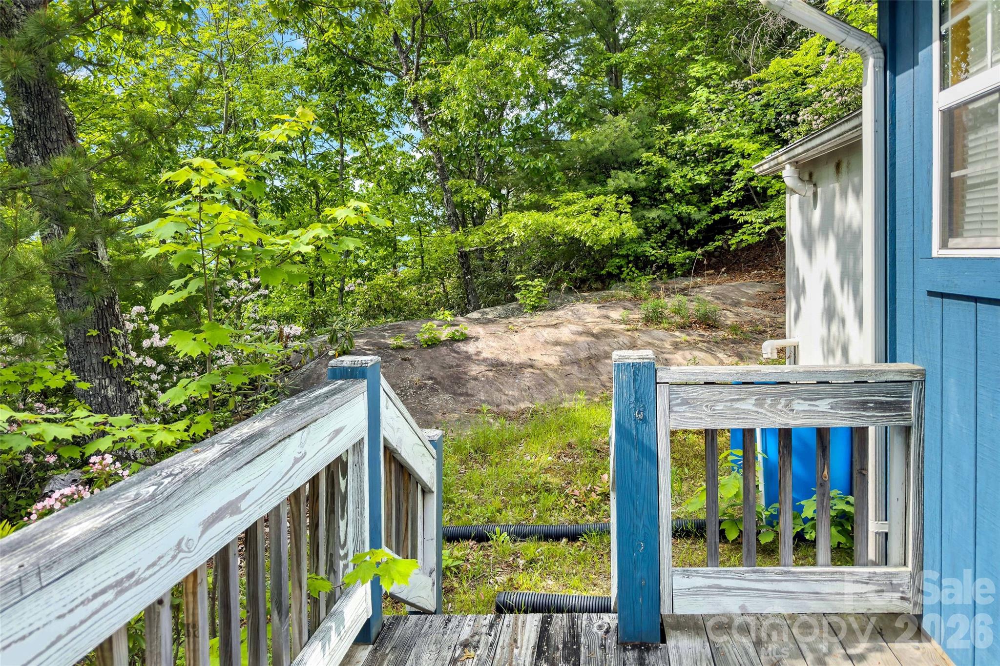 Linville Forest - Residential