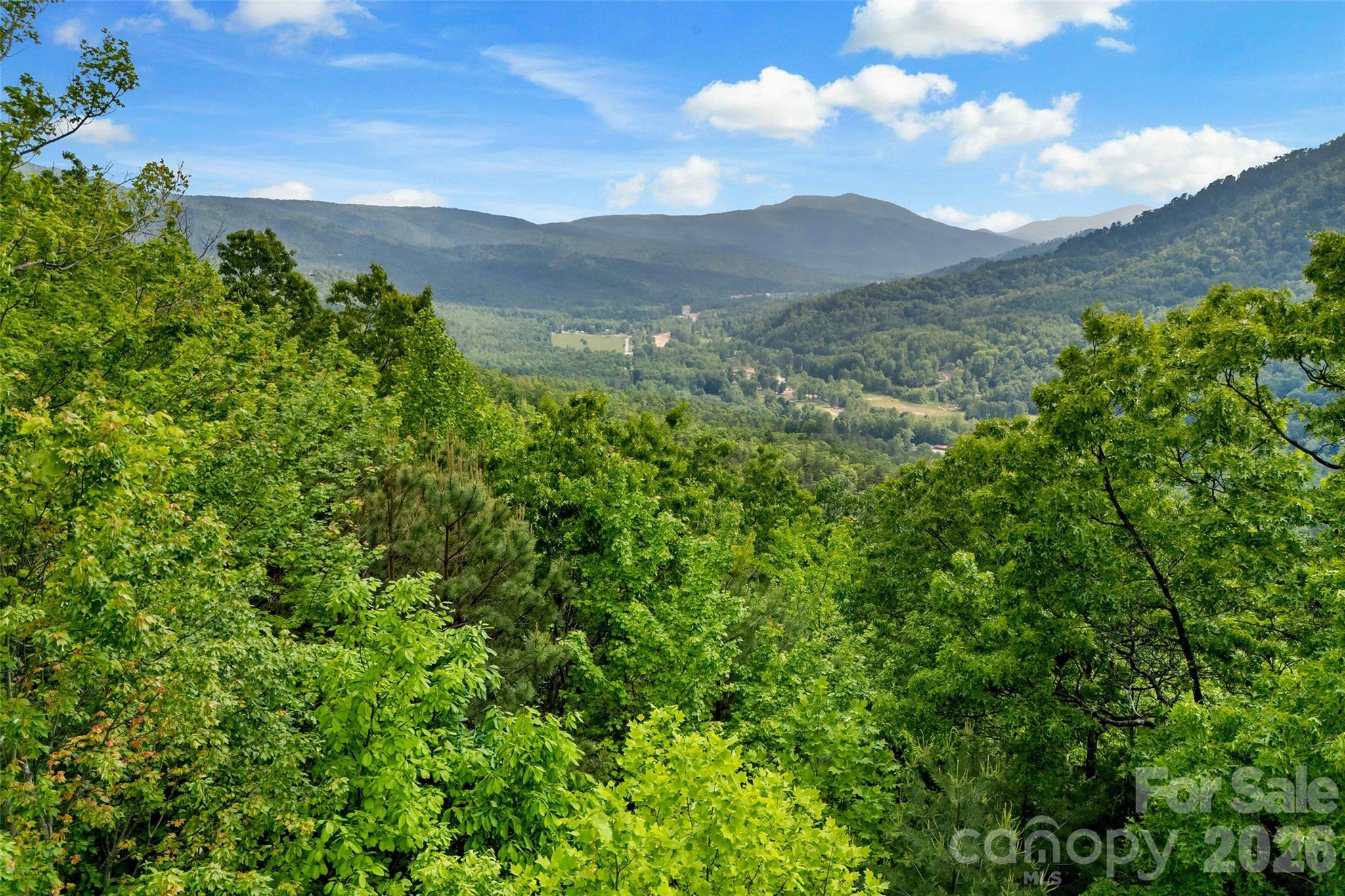 Linville Forest - Residential