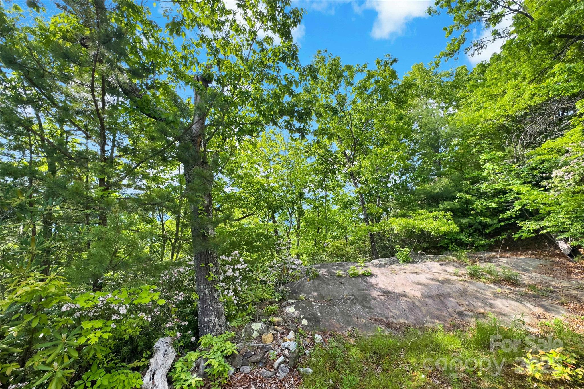 Linville Forest - Residential