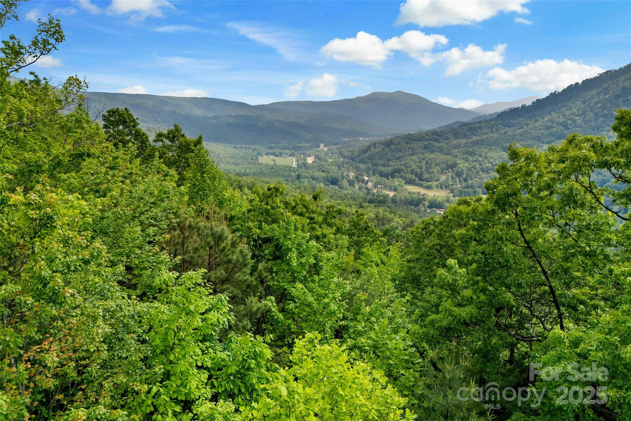 Linville Forest - Residential