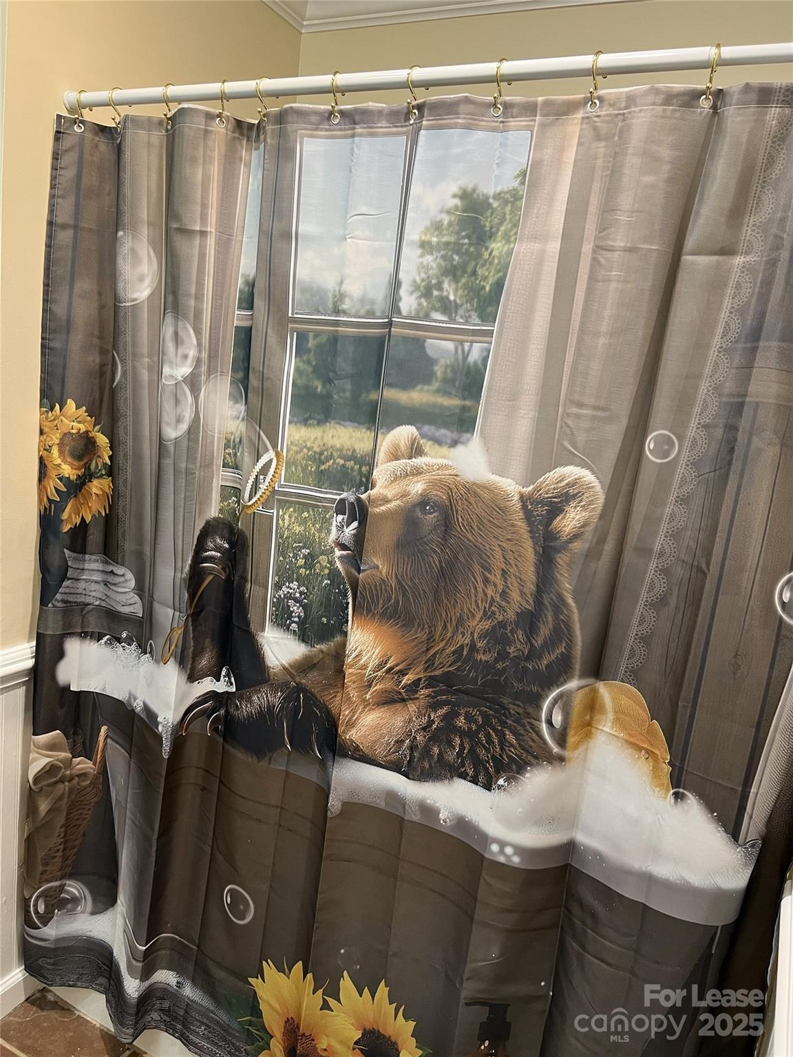 None - Residential Lease