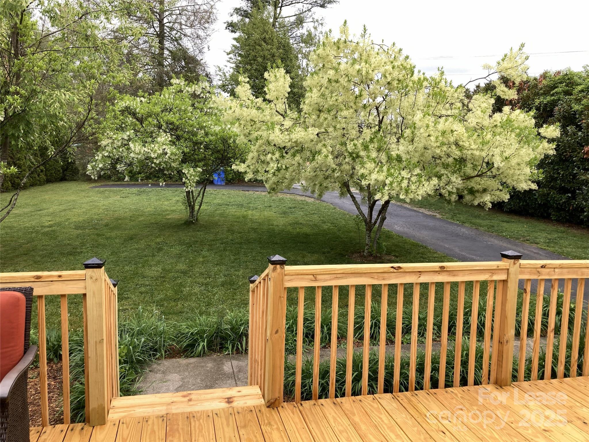 None - Residential Lease