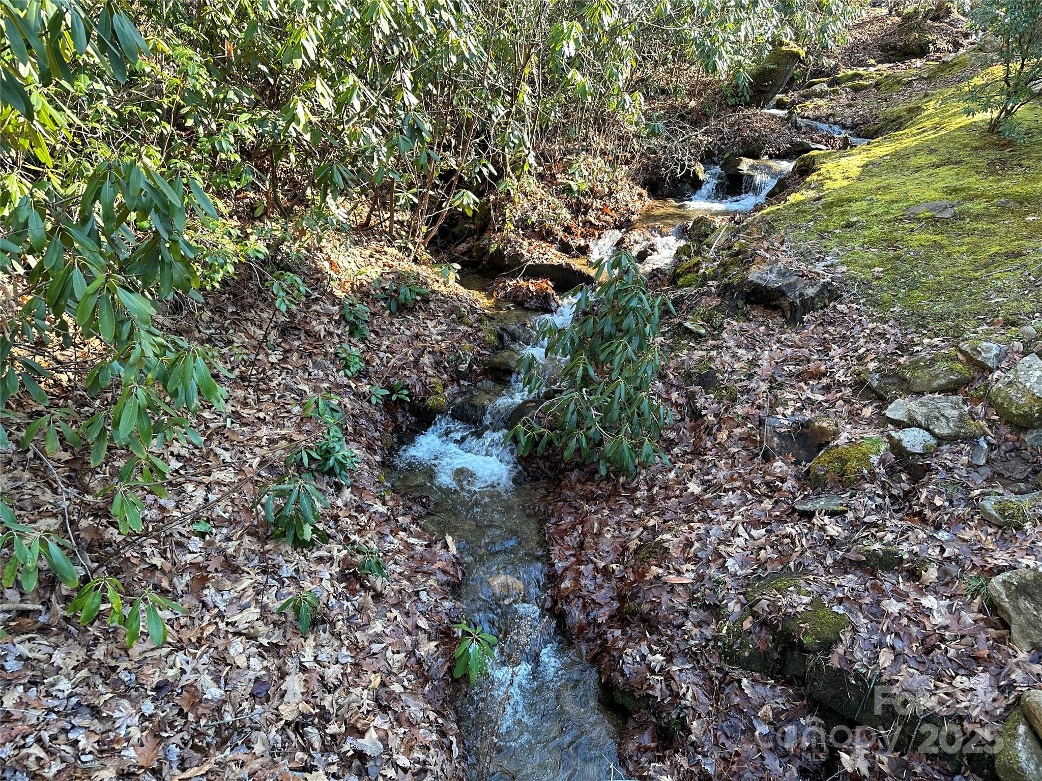 Highland Forest - Land