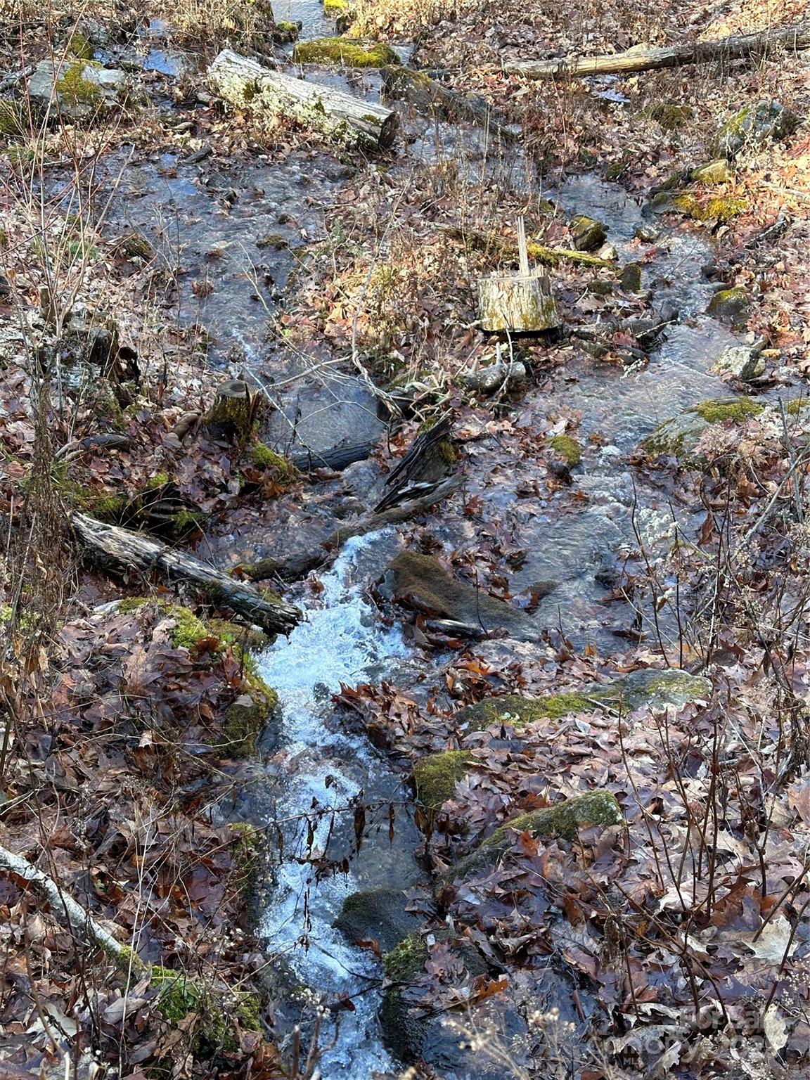 Highland Forest - Land