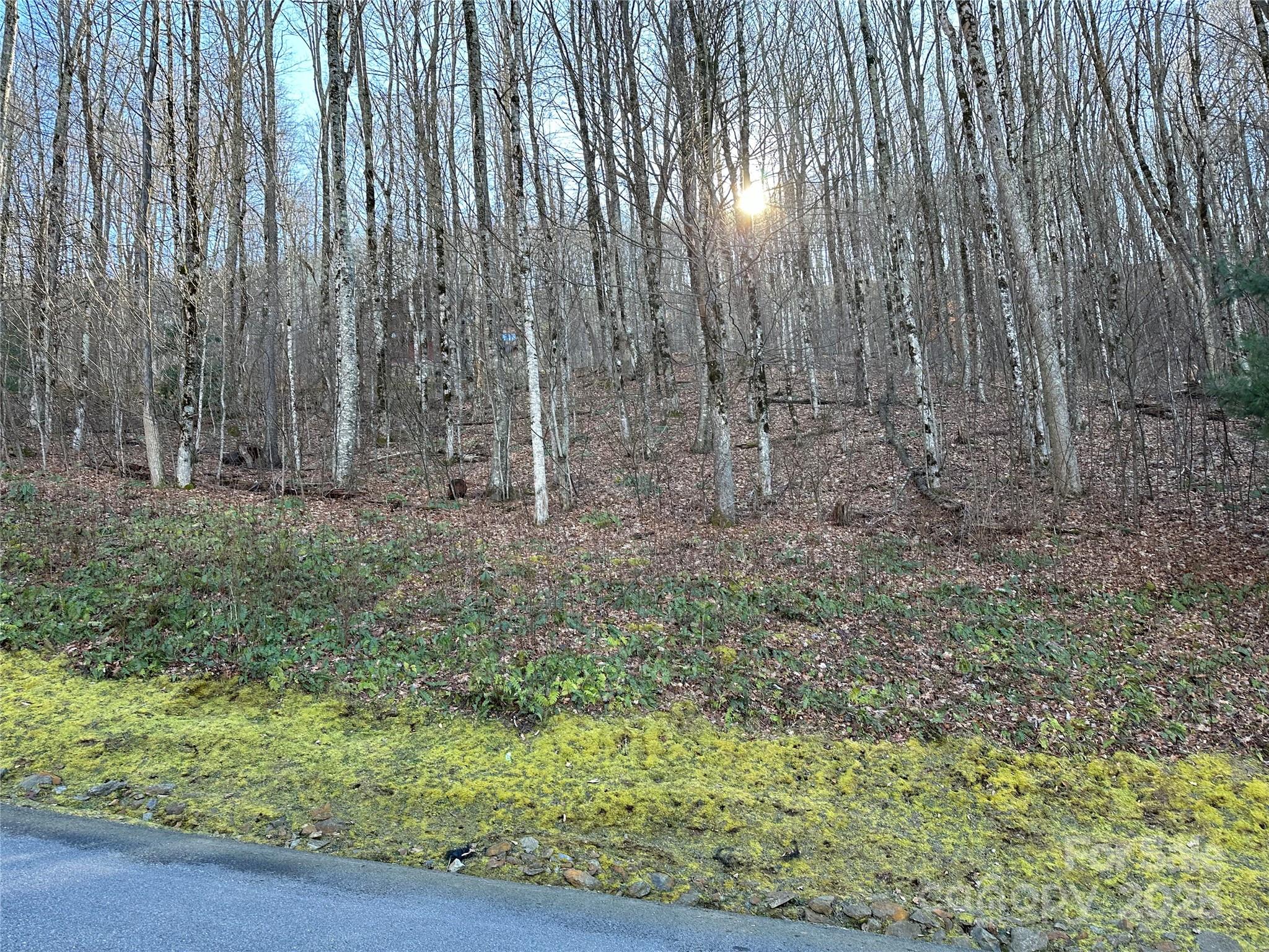 Highland Forest - Land