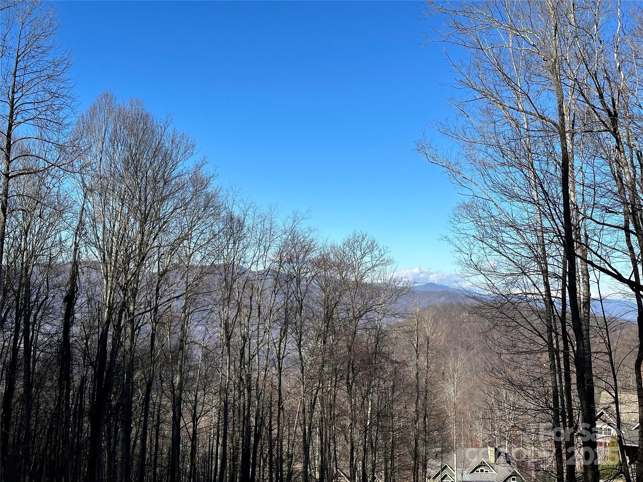 Highland Forest - Land