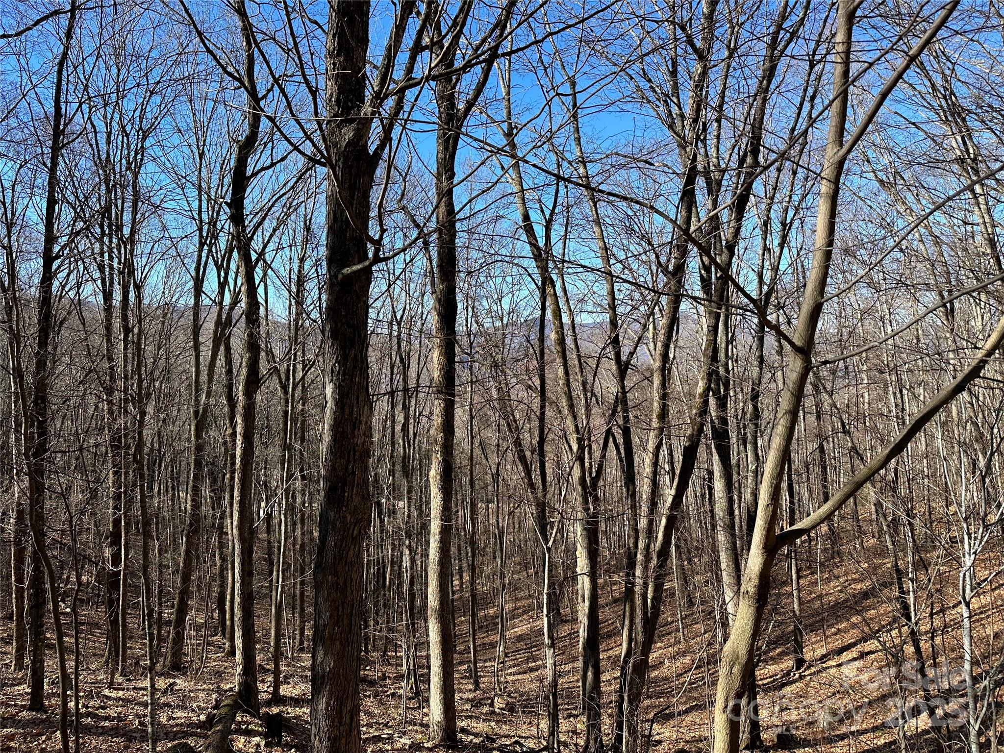 Highland Forest - Land