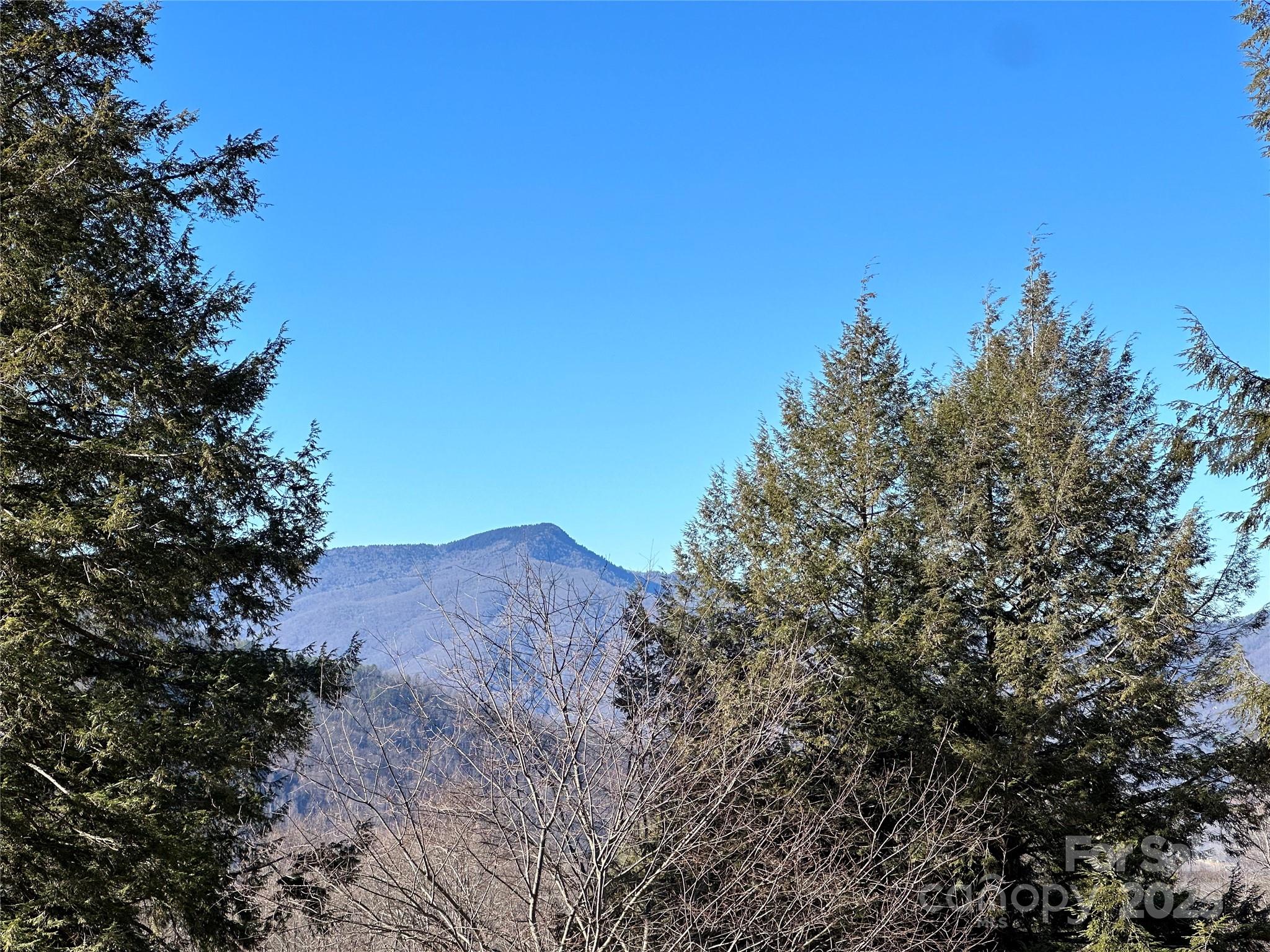 Highland Forest - Land